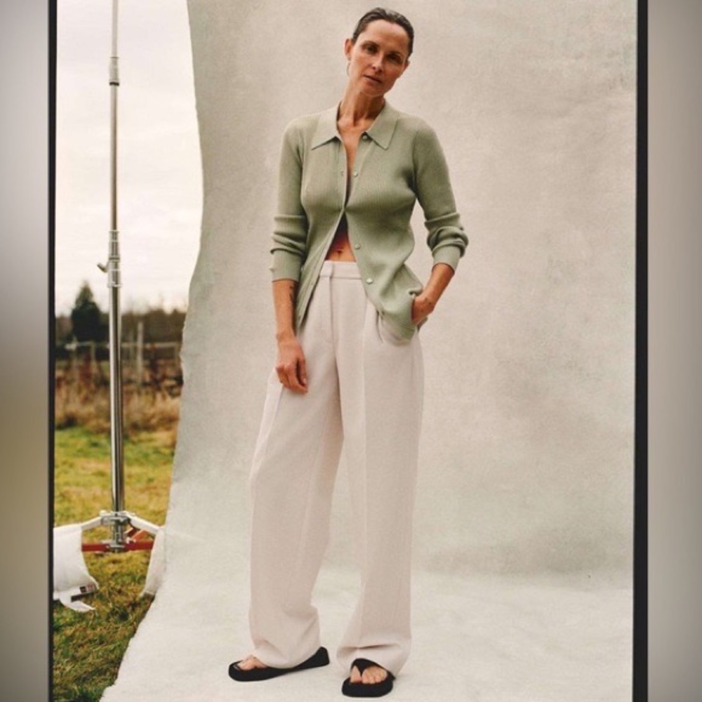 Aritzia Babaton
Fletcher Pant